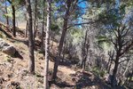 Thumbnail 4 van Bouwgrond te koop in Calpe / Spanje #47537