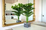 Thumbnail 49 van Appartement te koop in Altea / Spanje #60467