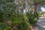 Thumbnail 5 van Bouwgrond te koop in Jávea / Spanje #59026