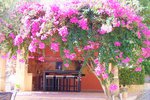 Thumbnail 49 van Villa te koop in Pedreguer / Spanje #46403