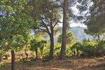 Thumbnail 9 van Villa te koop in Denia / Spanje #50944