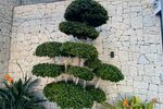 Thumbnail 19 van Villa te koop in Benissa / Spanje #53450