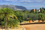 Thumbnail 43 van Finca te koop in Orba / Spanje #62228