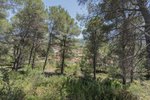 Thumbnail 26 van Villa te koop in Alcalali / Spanje #60520
