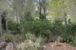 Thumbnail 2 van Bouwgrond te koop in Jávea / Spanje #51204