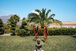 Thumbnail 18 van Villa te koop in Jávea / Spanje #62222