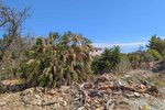 Thumbnail 1 van Bouwgrond te koop in Denia / Spanje #59336