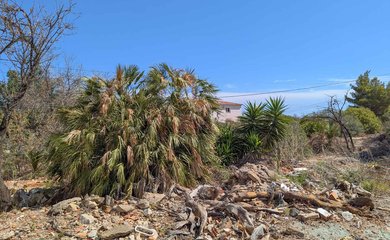 Bouwgrond te koop in Denia / Spanje