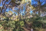 Thumbnail 9 van Villa te koop in Moraira / Spanje #60356