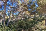 Thumbnail 7 van Villa te koop in Moraira / Spanje #59255