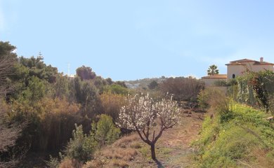 Bouwgrond te koop in Benissa / Spanje