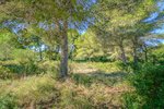 Thumbnail 2 van Bouwgrond te koop in Jávea / Spanje #59062