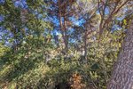 Thumbnail 5 van Villa te koop in Moraira / Spanje #59255