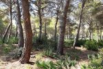 Thumbnail 12 van Bouwgrond te koop in Jávea / Spanje #42292