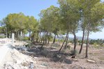 Thumbnail 5 van Bouwgrond te koop in Moraira / Spanje #47095