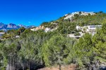 Thumbnail 13 van Bouwgrond te koop in Altea / Spanje #60430