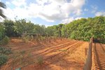 Thumbnail 33 van Villa te koop in Jávea / Spanje #50633