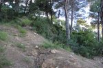 Thumbnail 2 van Bouwgrond te koop in Jávea / Spanje #59010