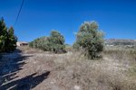 Thumbnail 9 van Finca te koop in Moraira / Spanje #61170