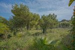 Thumbnail 23 van Villa te koop in Benitachell / Spanje #59117