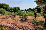 Thumbnail 5 van Bouwgrond te koop in Moraira / Spanje #59498