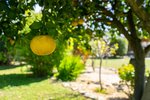 Thumbnail 49 van Villa te koop in Denia / Spanje #60465