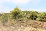 Thumbnail 2 van Bouwgrond te koop in Moraira / Spanje #58918