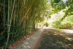 Thumbnail 34 van Finca te koop in Jávea / Spanje #62257