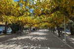 Thumbnail 18 van Appartement te koop in Moraira / Spanje #62220