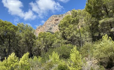 Bouwgrond te koop in Jávea / Spanje