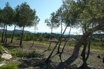 Thumbnail 8 van Bouwgrond te koop in Moraira / Spanje #58944