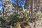 Thumbnail 8 van Villa te koop in Moraira / Spanje #59255
