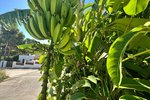 Thumbnail 9 van Villa te koop in Jávea / Spanje #51217