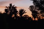 Thumbnail 60 van Villa te koop in Jávea / Spanje #61324