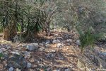 Thumbnail 9 van Bouwgrond te koop in Denia / Spanje #59338