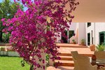 Thumbnail 18 van Villa te koop in Denia / Spanje #50944