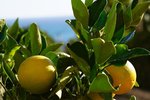 Thumbnail 56 van Villa te koop in Jávea / Spanje #61593