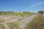Thumbnail 11 van Villa te koop in Benitachell / Spanje #61288