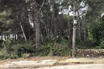 Thumbnail 3 van Bouwgrond te koop in Jávea / Spanje #43741