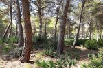 Thumbnail 7 van Bouwgrond te koop in Jávea / Spanje #42292