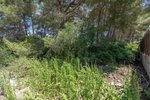 Thumbnail 3 van Bouwgrond te koop in Jávea / Spanje #59026