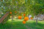 Thumbnail 32 van Villa te koop in Benissa / Spanje #59663
