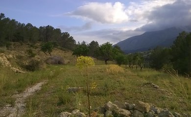 Bouwgrond te koop in Benissa / Spanje