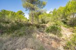 Thumbnail 4 van Bouwgrond te koop in Jávea / Spanje #59059